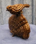 [bird31]