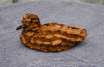 [bird4]