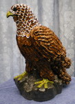 [eagle16]