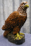 [eagle17]