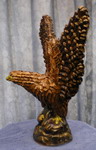 [eagle7]